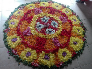 42354-tvm-dp-2019-1.png