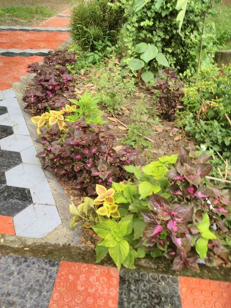 പ്രമാണം:43216 garden.jpg