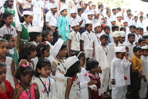 44050 2020 4 322.JPG