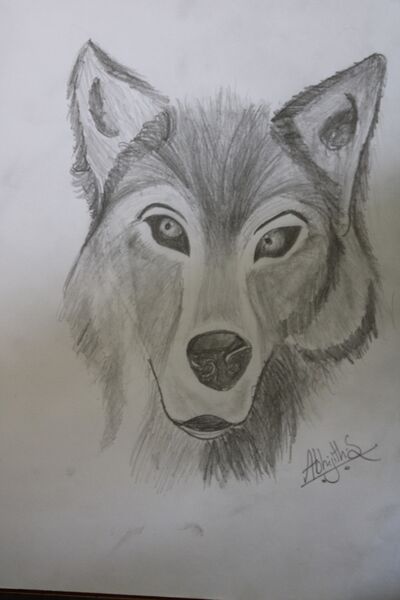 പ്രമാണം:44050 22 08 44.JPG