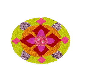POOKKALAM-SHAHLA.P (1).png