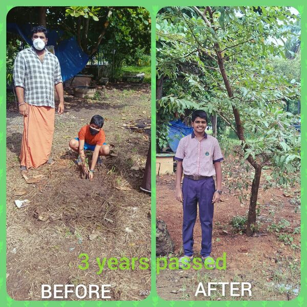 പ്രമാണം:WITH MY TREE 1.jpg