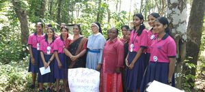 WhatsApp Image 2025-12-22 at 11.18.23 AM.jpg