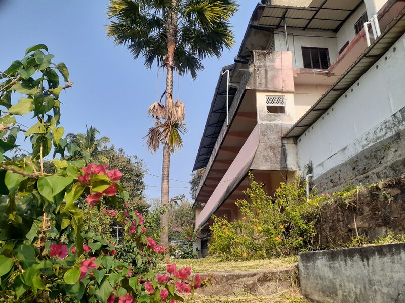 പ്രമാണം:05045 Backview.jpg