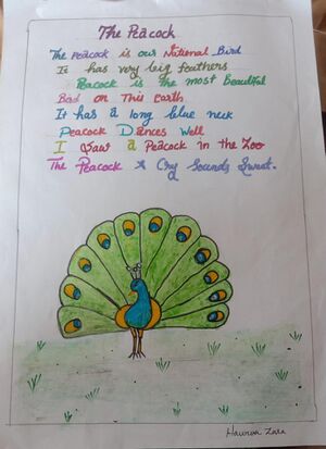 13369 KUP HAWWA ZARA .jpeg