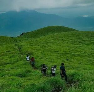 15085 Mangalassery mala.jpeg