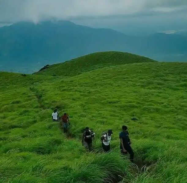 പ്രമാണം:15085 Mangalassery mala.jpeg