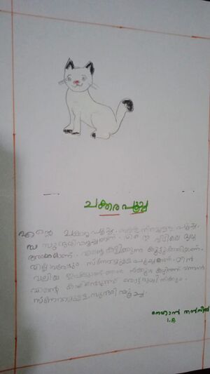 15305-WYD-KUNJ-NEHAN THANSIL.jpg