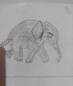 18328-MANNARIL KUJEZHUTH FADI K.jpeg