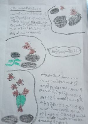 20620-pkd-Muhammad Naseeb.jpg