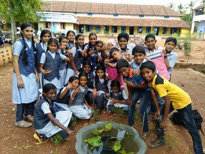 22075-JAYVA GARDEN.jpg