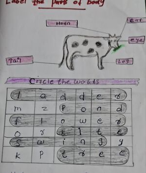 32238-KTM-KUNJ-IMRAN ALI-.jpg