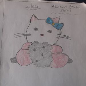 32364-KTM-KUNJ-ADHIDEV RAJESH.jpg