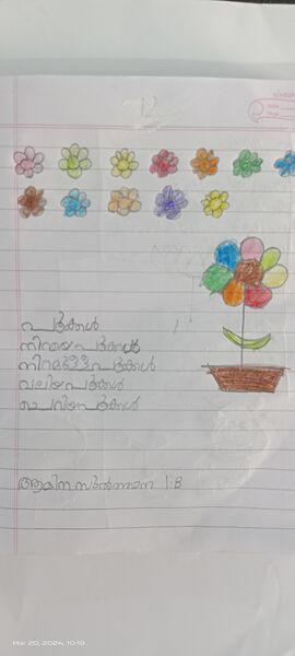 പ്രമാണം:34331-ALP-KUNJ-AMINA SULTHANA 1B.jpg