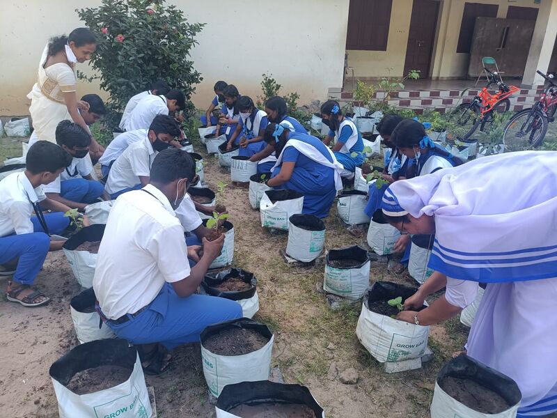 പ്രമാണം:Chingam1 35052 22 (3).jpeg