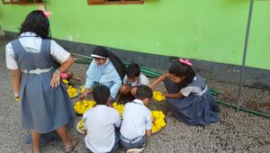 Collecting flowers.jpg