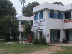 Copy of DSC00325.JPG