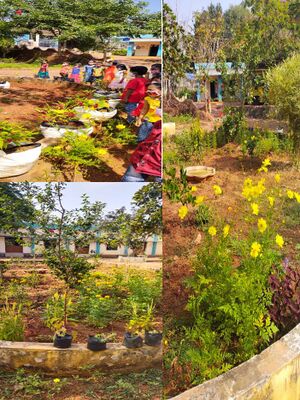 Haritha Club 44509 2.jpeg