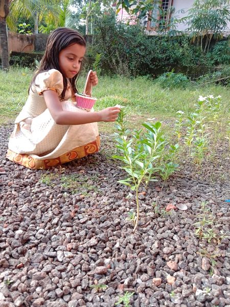 പ്രമാണം:Studentwork3.jpgl onamphoto.jpg