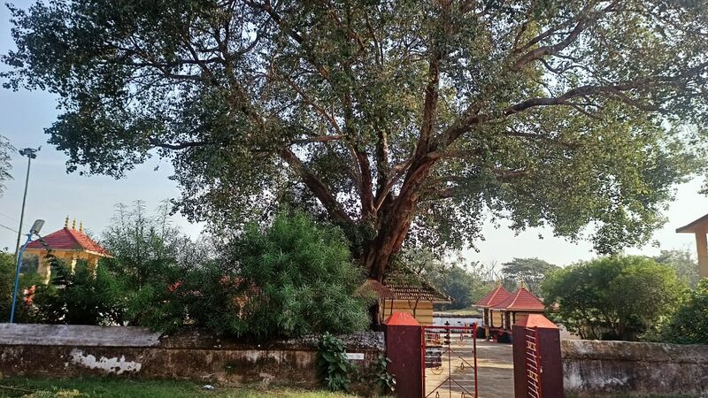 പ്രമാണം:കണ്ണമ്പ്ര ക്ഷേത്രം.jpeg