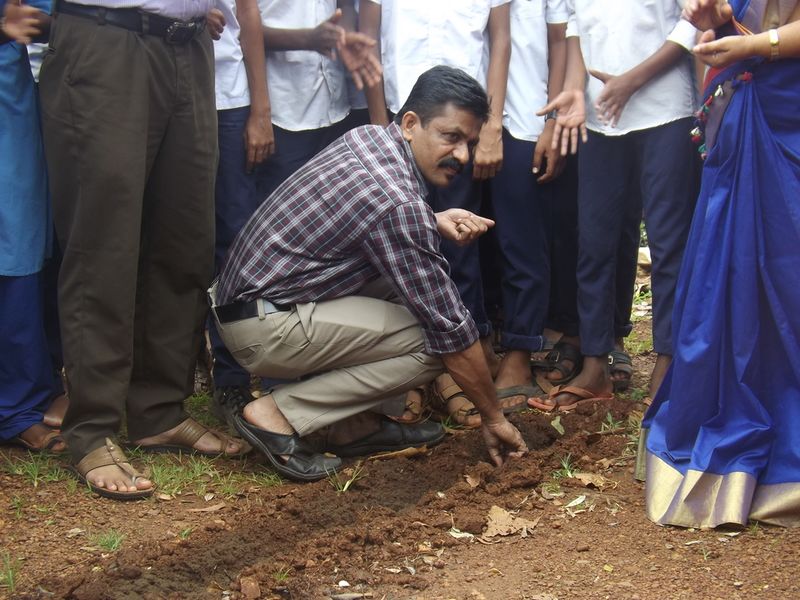 പ്രമാണം:12060 vithirakkal 4.JPG