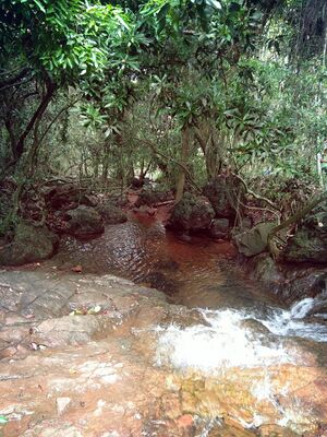 13094 Kanayikanam waterfall2.jpg