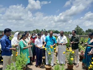 14057 vilavetuppu2.jpeg