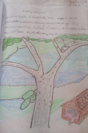 14243-KNR-KUNJ-ANVIKA LIJITH.jpeg