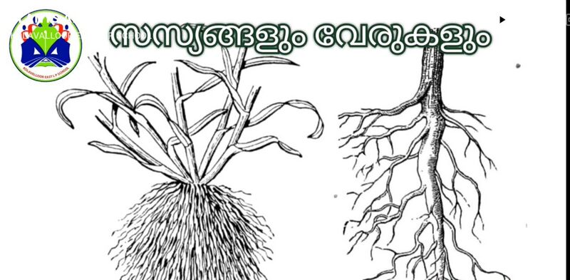 പ്രമാണം:14511 50.jpeg