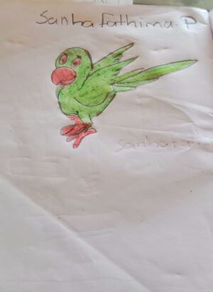 14708-KNR-KUNJ ZANHA FATHIMA P.jpg