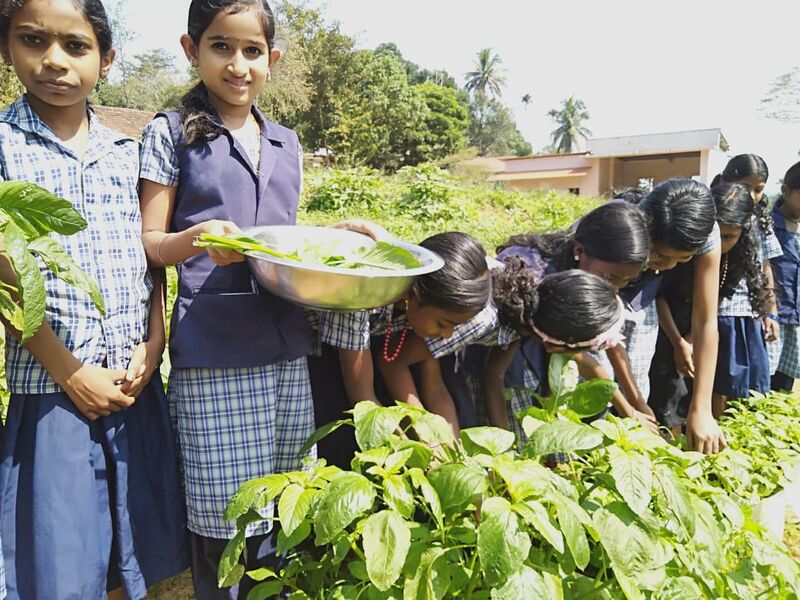 പ്രമാണം:15256 i.jpg