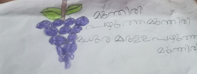 പ്രമാണം:15316-WYD-KUNJ-JUVANA ANIL.jpg