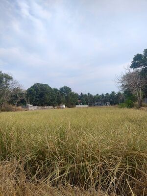 19541 Ente gramam ramachha padam.jpeg