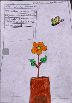 19615-MLP-KUN-SHAIZA MEHRIN C K .jpeg