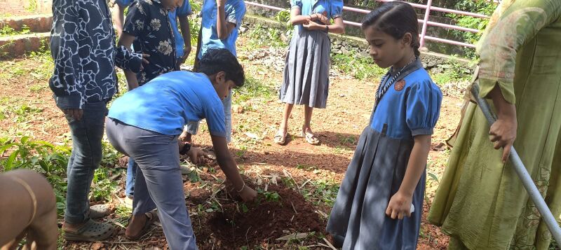 പ്രമാണം:19826 plant 1.jpeg