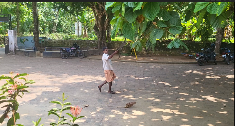 പ്രമാണം:29228 pt9.png