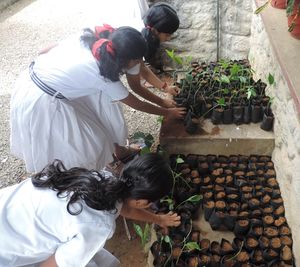 31076 redcross13.JPG