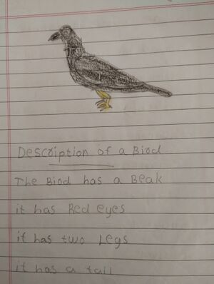 31541-KTM-KUNJ-EVAN JOLLY.1.jpg