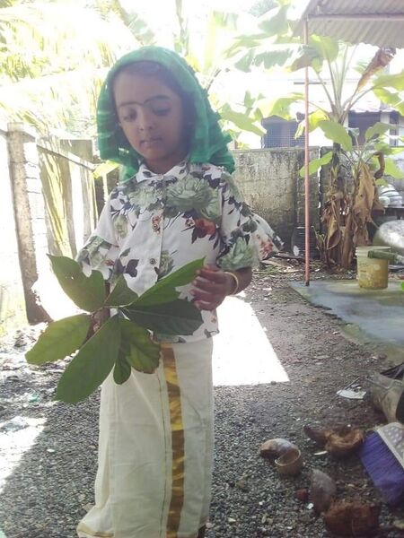 പ്രമാണം:34018 ആർട്സ് ക്ലബ്.jpeg