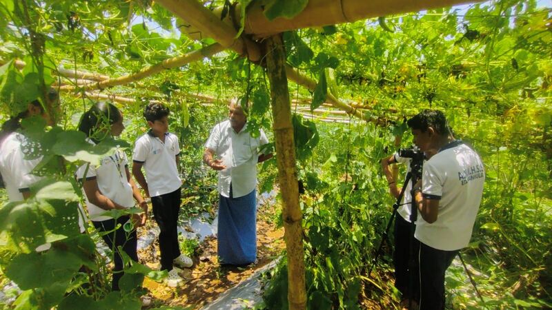 പ്രമാണം:37001 green thumbs24 4.jpg