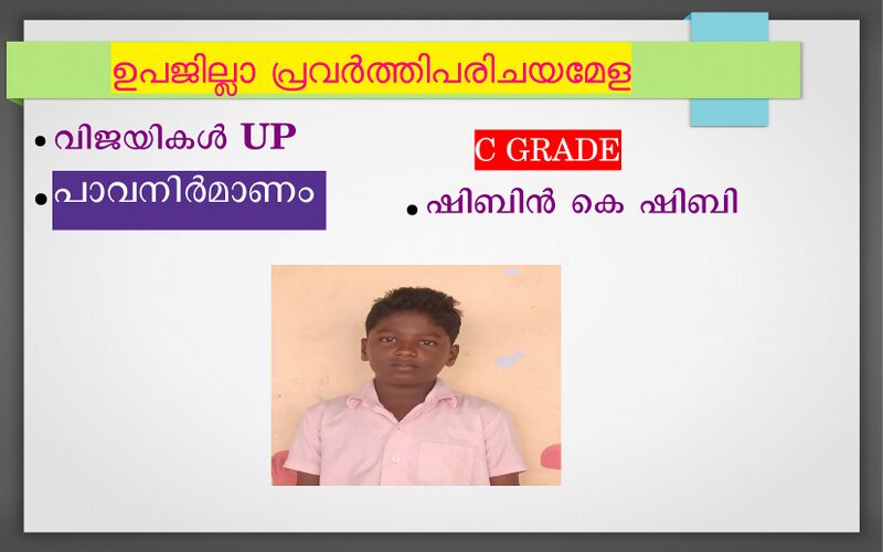 പ്രമാണം:37259 shibin2.jpg