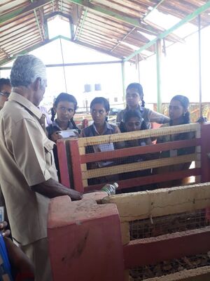 44243 fieldtrip1.jpg