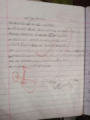 48137-MLP-faiha 1.jpeg