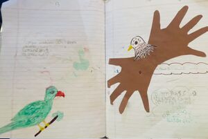 48220-MPM-ISHAL HANOON.jpeg