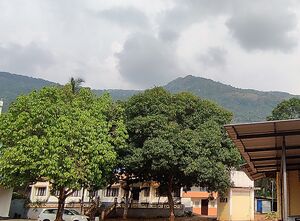 Ente gramam photo.jpeg