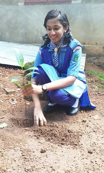 പ്രമാണം:Guides nsv .jpeg