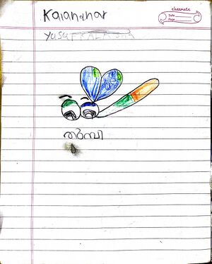 11203-KGD-KUNJ-Yusaf Kalandar sha.jpg