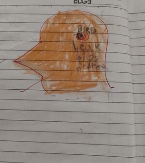 11252-KGD-KUNJ-AYISHATH SHAZA.jpeg