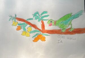 16053-KKD-KUNJ-OJAS KARUN.jpeg