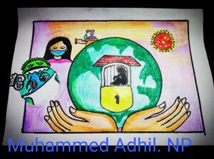 19671-muhammed adhil np3.jpeg